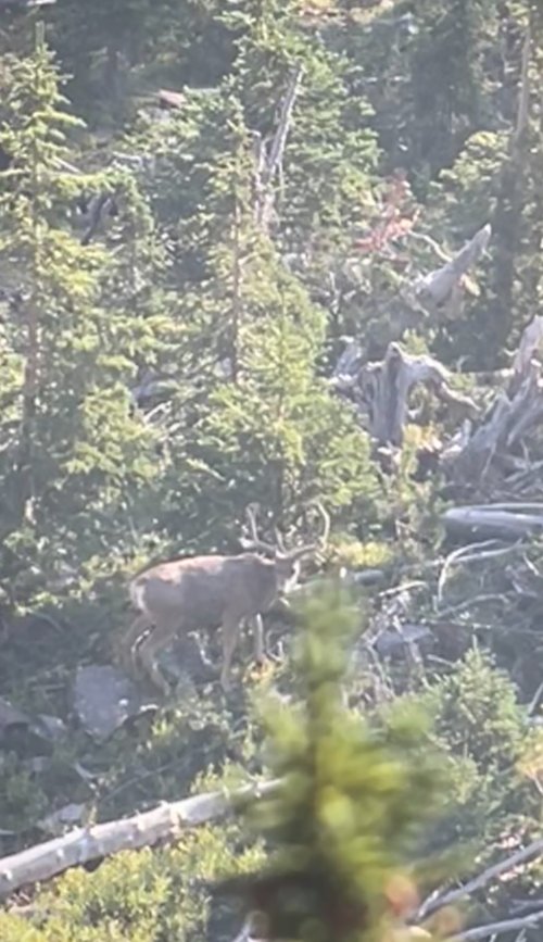 IMG_7713.jpeg IMG_7713.jpeg