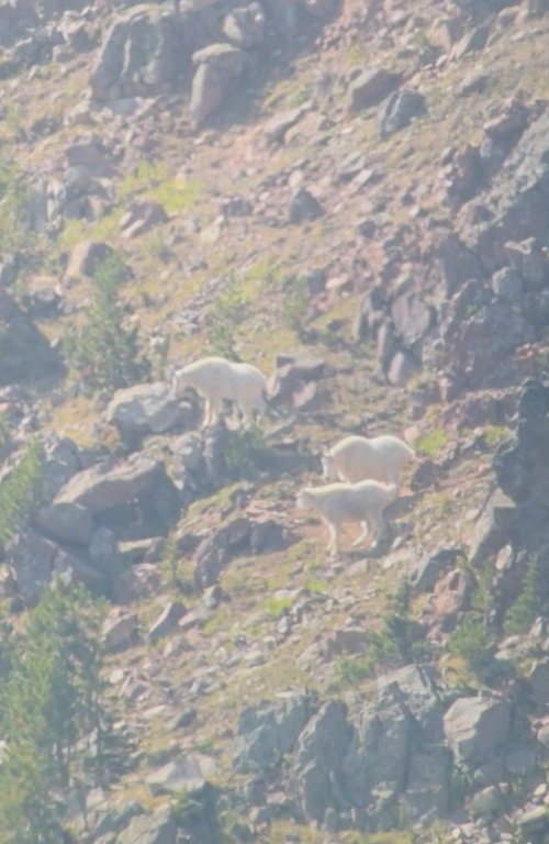 IMG_7712.jpeg IMG_7712.jpeg