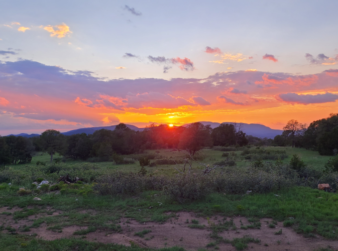 2025 Sunset.png 2025 Sunset.png