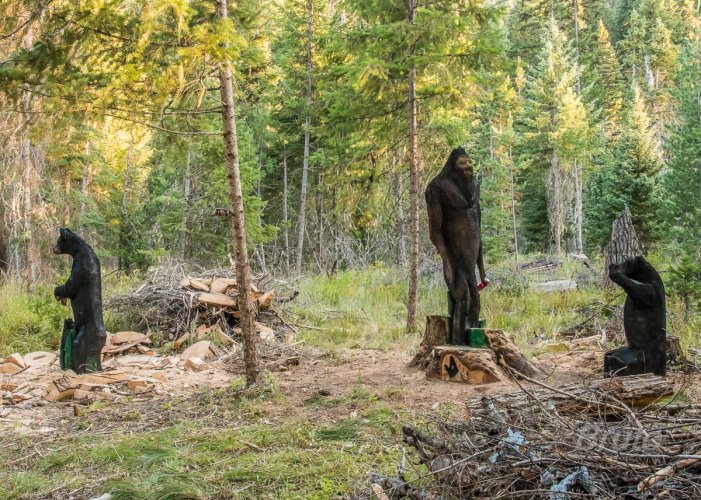 July 2025 1aa-7755.jpg