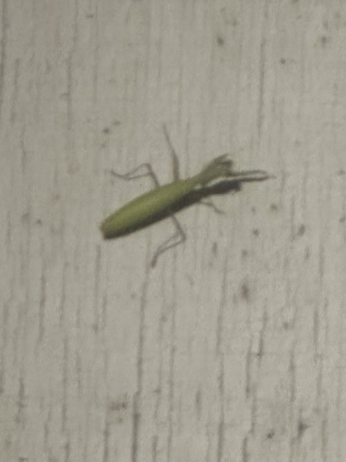 IMG_5836.jpeg