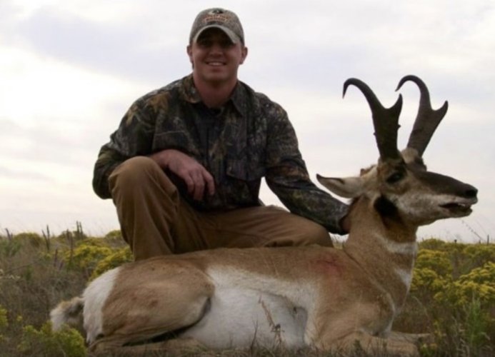 Pronghorn.jpeg