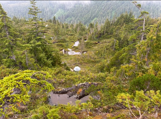 IMG_9430.jpeg IMG_9430.jpeg