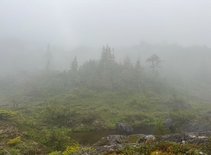 IMG_9433.jpeg IMG_9433.jpeg