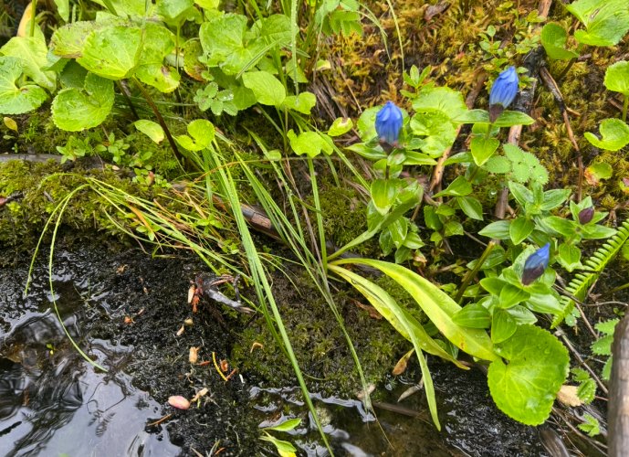 IMG_9491.jpeg IMG_9491.jpeg