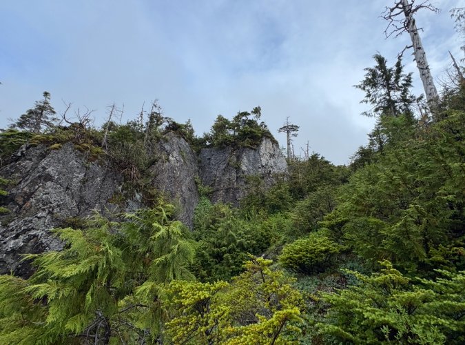 IMG_9492.jpeg IMG_9492.jpeg