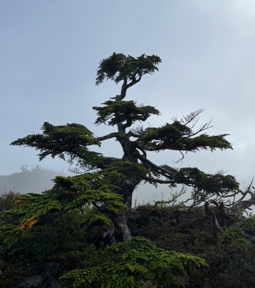 IMG_9493.jpeg IMG_9493.jpeg