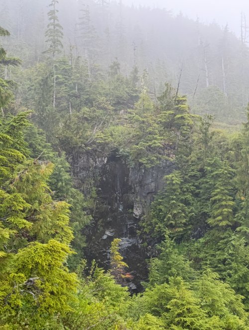 IMG_9494.jpeg IMG_9494.jpeg