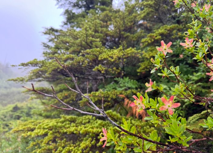 IMG_9495.jpeg IMG_9495.jpeg