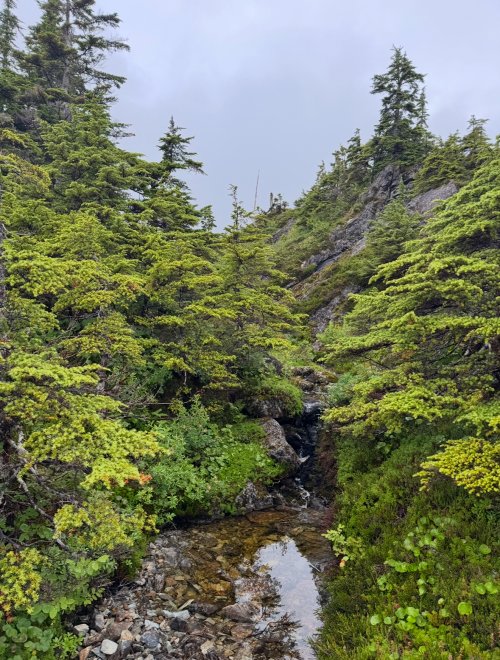 IMG_9497.jpeg IMG_9497.jpeg