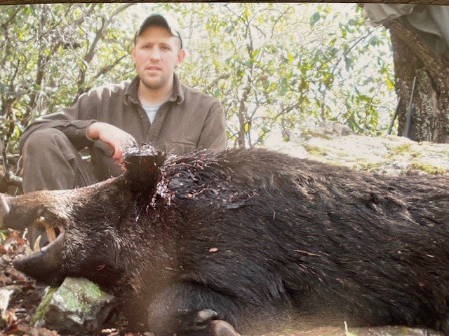boar 2.jpg