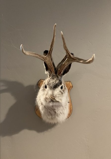 IMG_0405.jpeg IMG_0405.jpeg