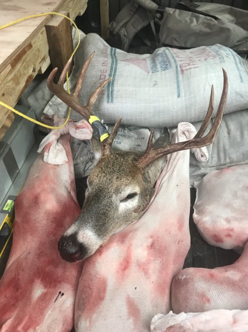 IMG_0681.jpeg IMG_0681.jpeg