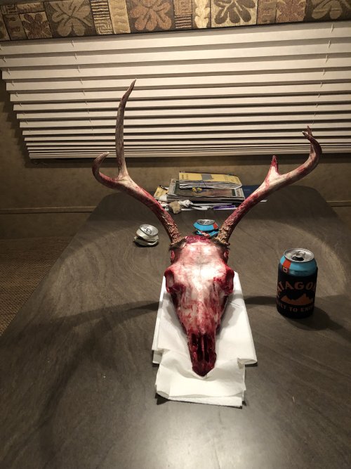 IMG_1288.jpeg IMG_1288.jpeg