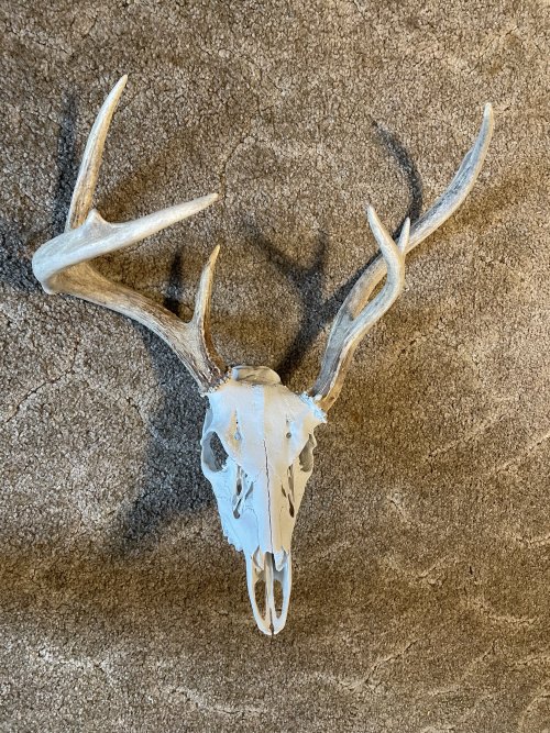 IMG_8202.jpeg IMG_8202.jpeg