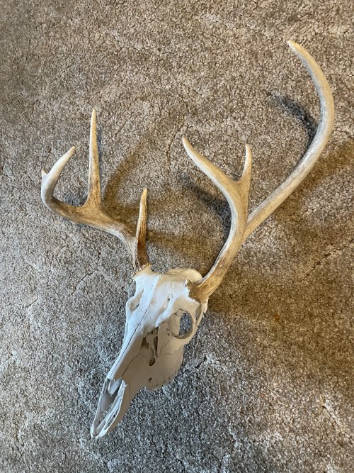 IMG_8201.jpeg IMG_8201.jpeg