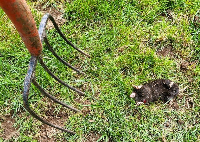 September 2023 a-.jpg