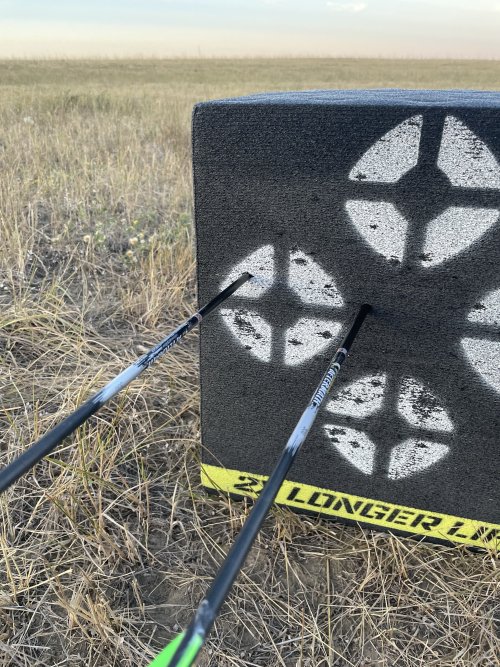 IMG_5837.jpeg IMG_5837.jpeg