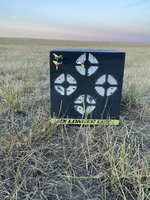 IMG_5839.jpeg IMG_5839.jpeg