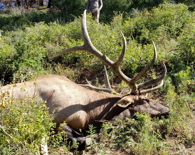 20190915_114859 copy.jpg