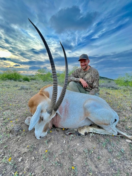 oryx.jpg