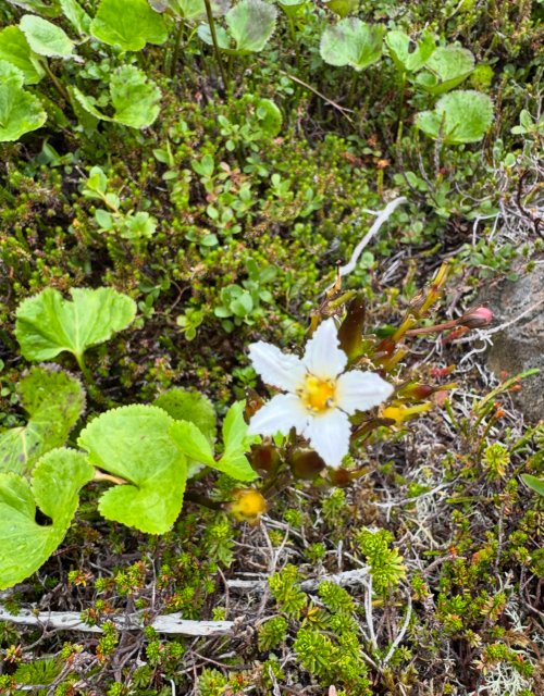 IMG_9560.jpeg IMG_9560.jpeg