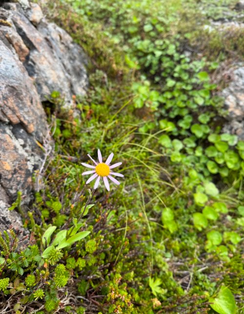 IMG_9561.jpeg IMG_9561.jpeg