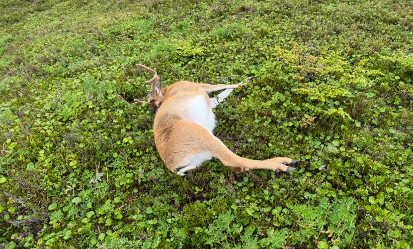 IMG_9562.jpeg IMG_9562.jpeg