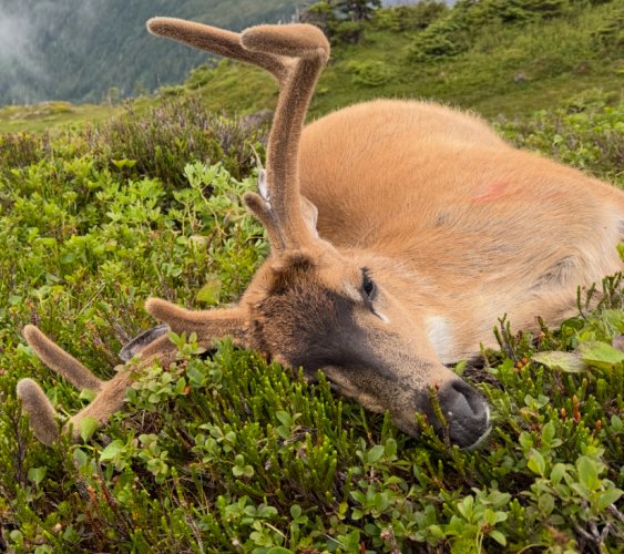 IMG_9563.jpeg IMG_9563.jpeg