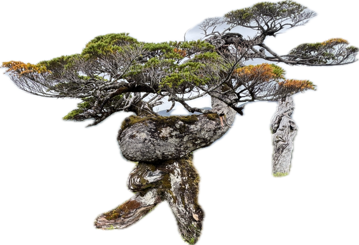 IMG_9566.png IMG_9566.png