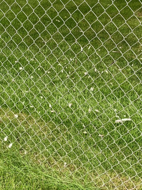 IMG_0713.jpeg IMG_0713.jpeg