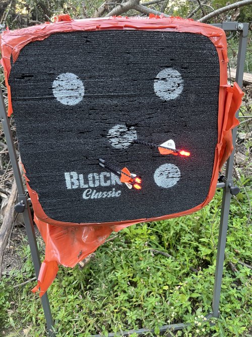 IMG_5262.jpeg IMG_5262.jpeg