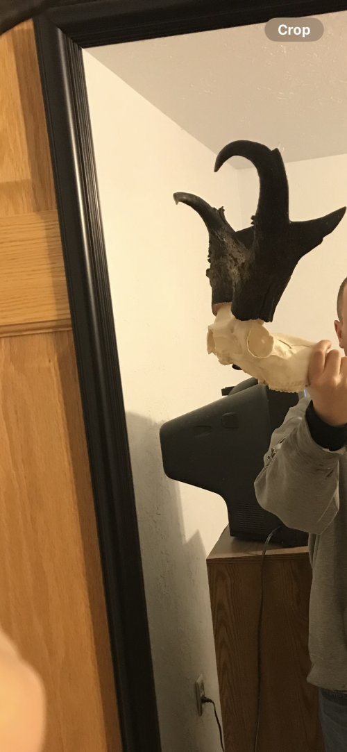 IMG_6009.png IMG_6009.png