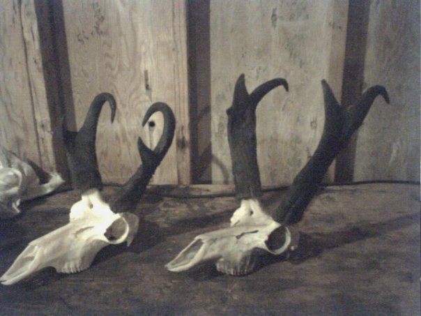 10401162_524687026283_9557_n.jpg 10401162_524687026283_9557_n.jpg