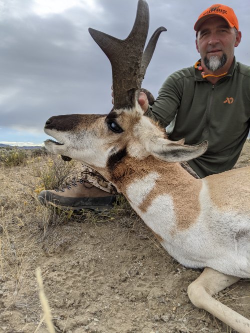 1000001099.jpg 1000001099.jpg