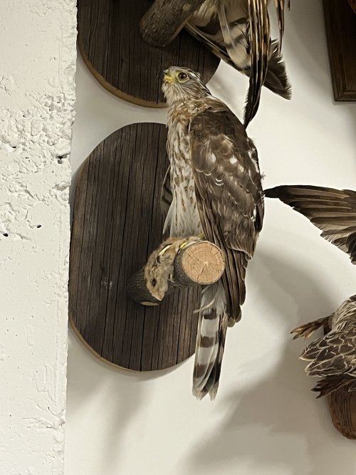 1756475837608.jpeg 1756475837608.jpeg