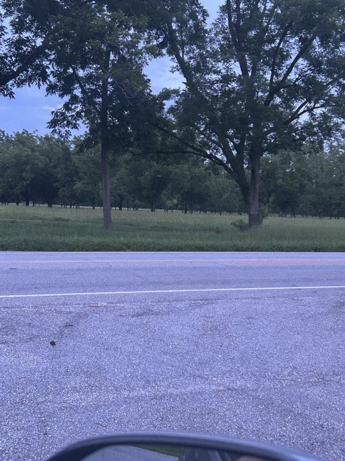 IMG_4043.jpeg