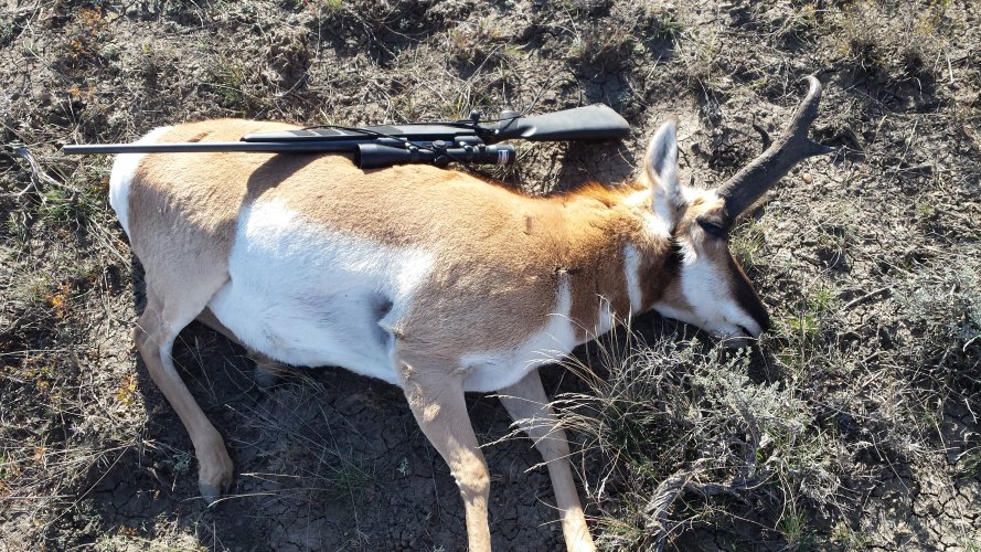 20191019_145605.jpg 20191019_145605.jpg