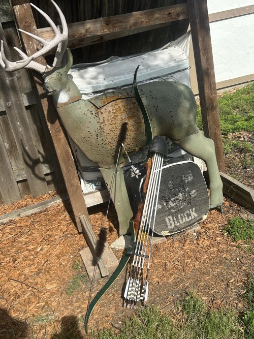 IMG_6327.jpeg IMG_6327.jpeg