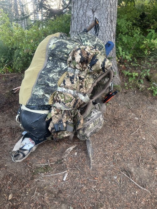 IMG_5858.JPG IMG_5858.JPG