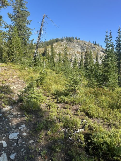 IMG_5874.JPG IMG_5874.JPG