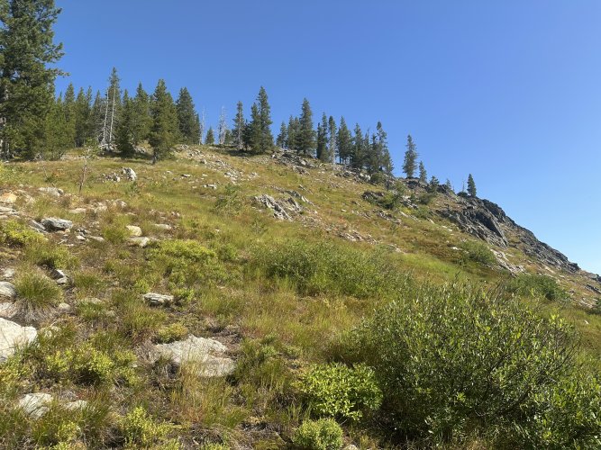 IMG_5884.JPG IMG_5884.JPG