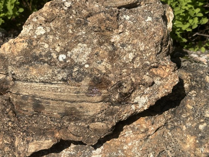 IMG_5928.JPG IMG_5928.JPG