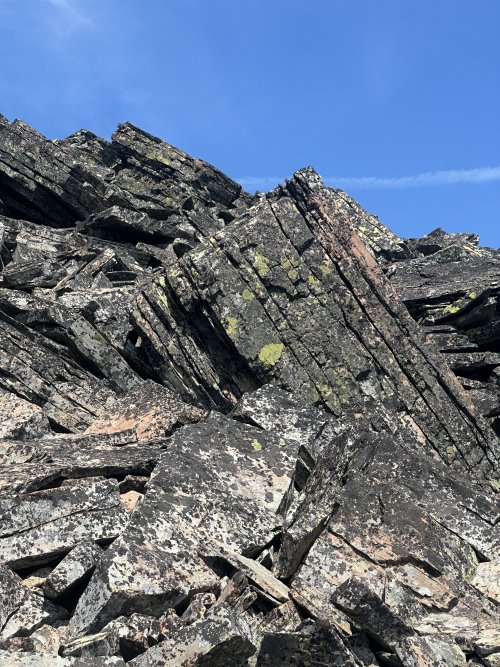 IMG_5956.JPG IMG_5956.JPG