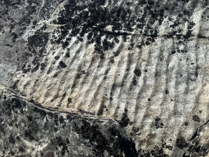 IMG_5960.JPG IMG_5960.JPG