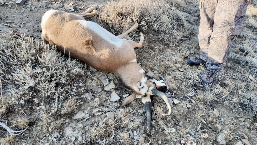 dji_mimo_20250830_075632_20250830095633_1756580631133_photo.jpeg dji_mimo_20250830_075632_20250830095633_1756580631133_photo.jpeg