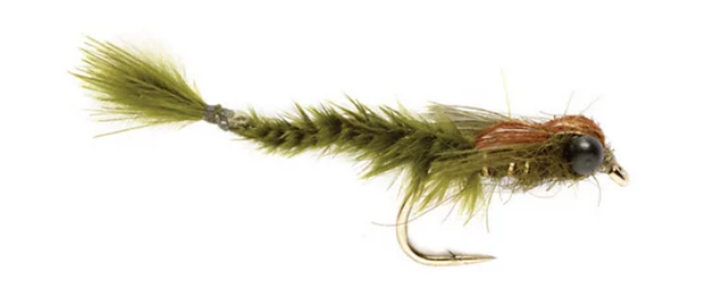 1756581276457.png 1756581276457.png