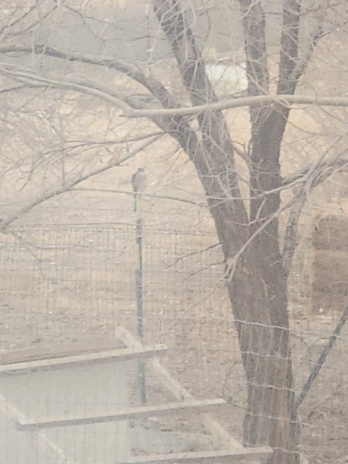 20241216_103925.jpg 20241216_103925.jpg