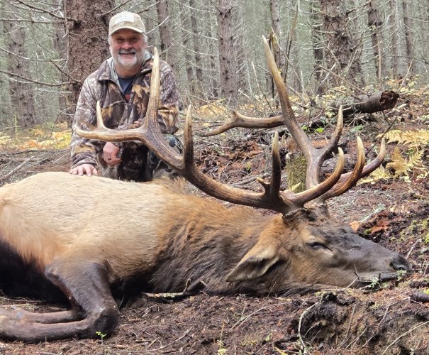 2024 OR (cropped 2) elk (1).jpg