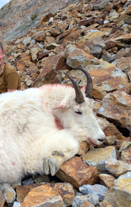 Screenshot_20250831-013600.png Screenshot_20250831-013600.png